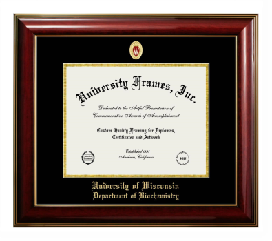 University of Wisconsin (Madison) Department of Biochemistry Diploma Frame in Classic Mahogany with Gold Trim with Black & Gold Mats for DOCUMENT: 8 1/2"H X 11"W  