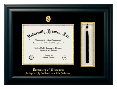 University of Wisconsin (Madison) College of Agricultural and Life Sciences Diploma with Tassel Box Frame in Satin Black with Black & Gold Mats for document: 8 1/2"h x 11"w  