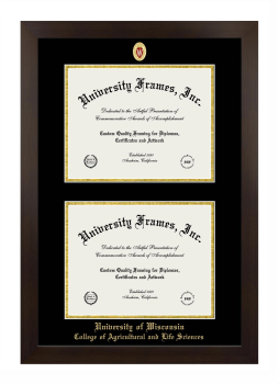 University of Wisconsin (Madison) College of Agricultural and Life Sciences Double Degree (Stacked) Frame in Manhattan Espresso with Black & Gold Mats for document: 8 1/2"h x 11"w  , document: 8 1/2"h x 11"w  