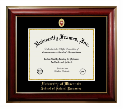 University of Wisconsin (Madison) School of Natural Resources Diploma Frame in Classic Mahogany with Gold Trim with Black & Gold Mats for DOCUMENT: 8 1/2"H X 11"W  