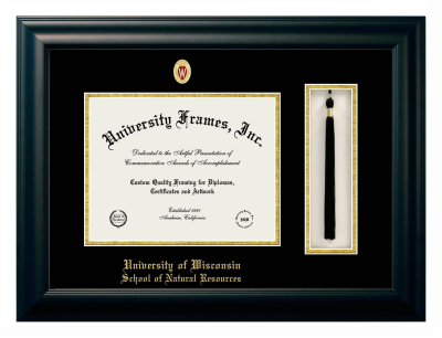 University of Wisconsin (Madison) School of Natural Resources Diploma with Tassel Box Frame in Satin Black with Black & Gold Mats for document: 8 1/2"h x 11"w  