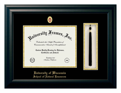 University of Wisconsin (Madison) School of Natural Resources Diploma with Tassel Box Frame in Satin Black with Black & Gold Mats for DOCUMENT: 8 1/2"H X 11"W  