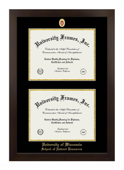 University of Wisconsin (Madison) School of Natural Resources Double Degree (Stacked) Frame in Manhattan Espresso with Black & Gold Mats for document: 8 1/2"h x 11"w  , document: 8 1/2"h x 11"w  