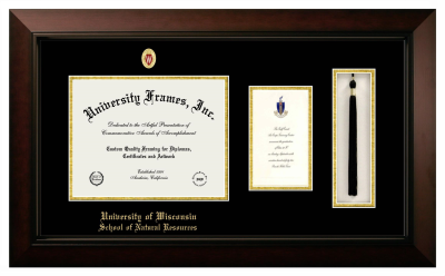 University of Wisconsin (Madison) School of Natural Resources Diploma with Announcement & Tassel Box Frame in Legacy Black Cherry with Black & Gold Mats for document: 8 1/2"h x 11"w  , diploma: 7"h x 4"w  