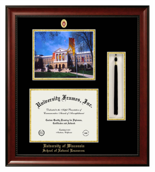 University of Wisconsin (Madison) School of Natural Resources Double Opening with Campus Image & Tassel Box (Stacked) Frame in Avalon Mahogany with Black & Gold Mats for document: 8 1/2"h x 11"w  