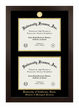 University of California Davis Division of Biological Sciences Double Degree (Stacked) Frame in Manhattan Espresso with Black & Gold Mats for document: 8 1/2"h x 11"w  , document: 8 1/2"h x 11"w  