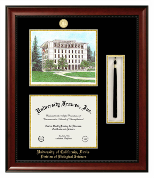 University of California Davis Division of Biological Sciences Double Opening with Campus Image & Tassel Box (Stacked) Frame in Avalon Mahogany with Black & Gold Mats for document: 8 1/2"h x 11"w  