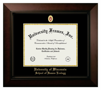 University of Wisconsin (Madison) School of Human Ecology Diploma Frame in Legacy Black Cherry with Black & Gold Mats for DOCUMENT: 8 1/2"H X 11"W  