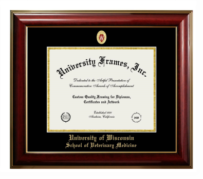 University of Wisconsin (Madison) School of Veterinary Medicine Diploma Frame in Classic Mahogany with Gold Trim with Black & Gold Mats for DOCUMENT: 8 1/2"H X 11"W  