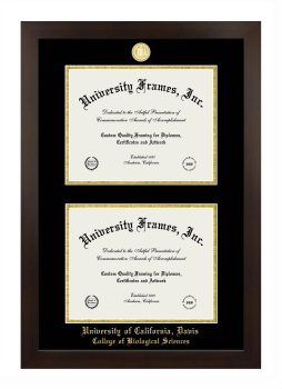University of California Davis College of Biological Sciences Double Degree (Stacked) Frame in Manhattan Espresso with Black & Gold Mats for document: 8 1/2"h x 11"w  , document: 8 1/2"h x 11"w  