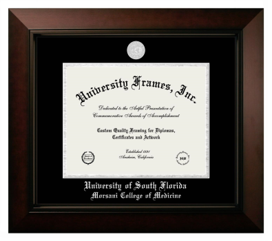 University of South Florida Morsani College of Medicine Diploma Frame in Legacy Black Cherry with Black & Silver Mats for document: 8 1/2"h x 11"w  