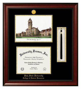 Utah State University College of Natural Resources Double Opening with Campus Image & Tassel Box (Stacked) Frame in Avalon Mahogany with Black & Gold Mats for document: 8 1/2"h x 11"w  