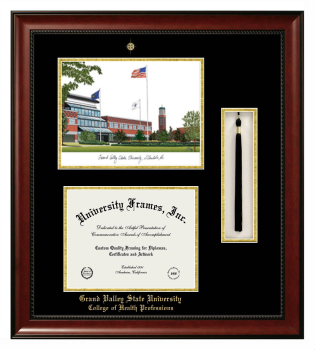 Grand Valley State University College of Health Professions Double Opening with Campus Image & Tassel Box (Stacked) Frame in Avalon Mahogany with Black & Gold Mats for document: 8 1/2"h x 11"w  
