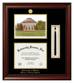 University of Illinois Division of General Studies Double Opening with Campus Image & Tassel Box (Stacked) Frame in Avalon Mahogany with Black & Gold Mats for document: 8 1/2"h x 11"w  