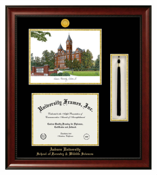 Auburn University School of Forestry & Wildlife Sciences Double Opening with Campus Image & Tassel Box (Stacked) Frame in Avalon Mahogany with Black & Gold Mats for DOCUMENT: 8 1/2"H X 11"W  