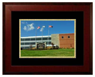 Edward Via Virginia College of Osteopathic Medicine Lithograph Only Frame in Honors Mahogany with Black & Gold Mats