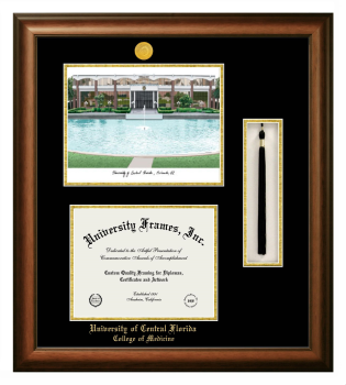 University of Central Florida College of Medicine Double Opening with Campus Image & Tassel Box (Stacked) Frame in Satin Walnut with Black & Gold Mats for document: 8 1/2"h x 11"w  