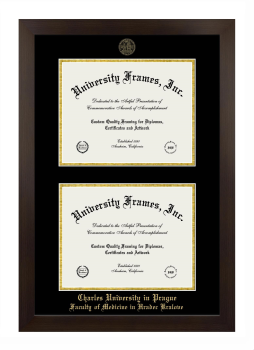 Charles University in Prague Faculty of Medicine in Hradec Kralove Double Degree (Stacked) Frame in Manhattan Espresso with Black & Gold Mats for document: 8 1/2"h x 11"w  , document: 8 1/2"h x 11"w  