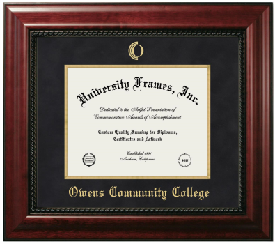 Owens Community College Diploma Frame in Executive with Gold Fillet with Black Suede Mat for DOCUMENT: 8 1/2"H X 11"W  