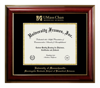 University of Massachusetts Morningside Graduate School of Biomedical Sciences Diploma Frame in Classic Mahogany with Gold Trim with Black & Gold Mats for DOCUMENT: 8 1/2"H X 11"W  
