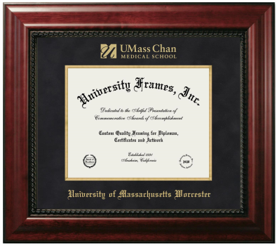 University of Massachusetts Worcester Diploma Frame in Executive with Gold Fillet with Black Suede Mat for DOCUMENT: 8 1/2"H X 11"W  