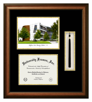 California State University, Fullerton College of Engineering & Computer Science Double Opening with Campus Image & Tassel Box (Stacked) Frame in Satin Walnut with Black & Gold Mats for document: 8 1/2"h x 11"w  