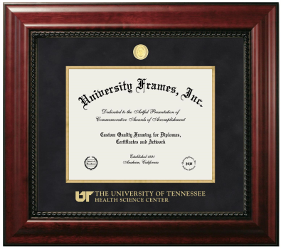University of Tennessee Health Science Center Diploma Frame in Executive with Gold Fillet with Black Suede Mat for DOCUMENT: 8 1/2"H X 11"W  