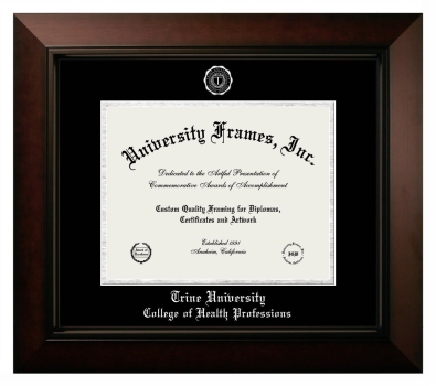 Trine University College of Health Professions Diploma Frame in Legacy Black Cherry with Black & Silver Mats for document: 8 1/2"h x 11"w  