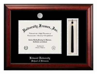 Belmont University School of Sciences Diploma with Tassel Box Frame in Satin Mahogany with Black & Silver Mats for document: 8 1/2"h x 11"w  