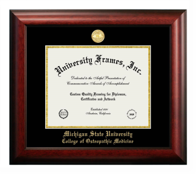 Michigan State University College of Osteopathic Medicine Diploma Frame in Satin Mahogany with Black & Gold Mats for DOCUMENT: 8 1/2"H X 11"W  
