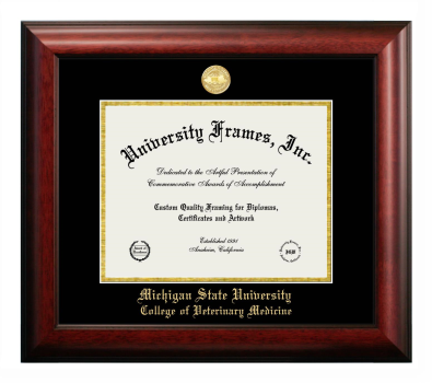 Michigan State University College of Veterinary Medicine Diploma Frame in Satin Mahogany with Black & Gold Mats for DOCUMENT: 8 1/2"H X 11"W  