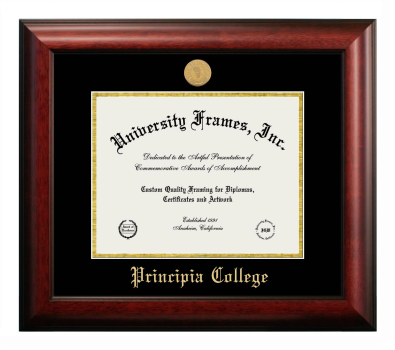 Principia College Diploma Frame in Satin Mahogany with Black & Gold Mats for document: 8 1/2"h x 11"w  