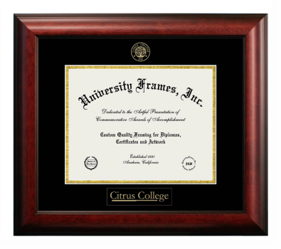 Citrus College Diploma Frame in Satin Mahogany with Black & Gold Mats for DOCUMENT: 8 1/2"H X 11"W  