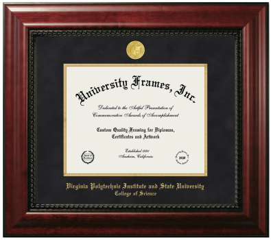 Virginia Polytechnic Institute and State University College of Science Diploma Frame in Executive with Gold Fillet with Black Suede Mat for document: 8 1/2"h x 11"w  
