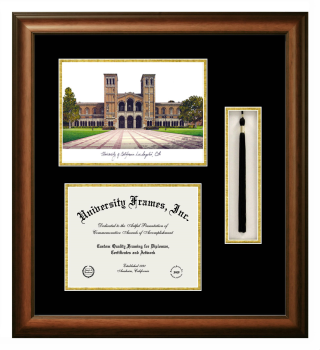 University of California Los Angeles School of Medicine Double Opening with Campus Image & Tassel Box (Stacked) Frame in Satin Walnut with Black & Gold Mats for document: 8 1/2"h x 11"w  