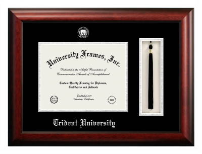 Trident University Diploma with Tassel Box Frame in Satin Mahogany with Black & Silver Mats for document: 8 1/2"h x 11"w  